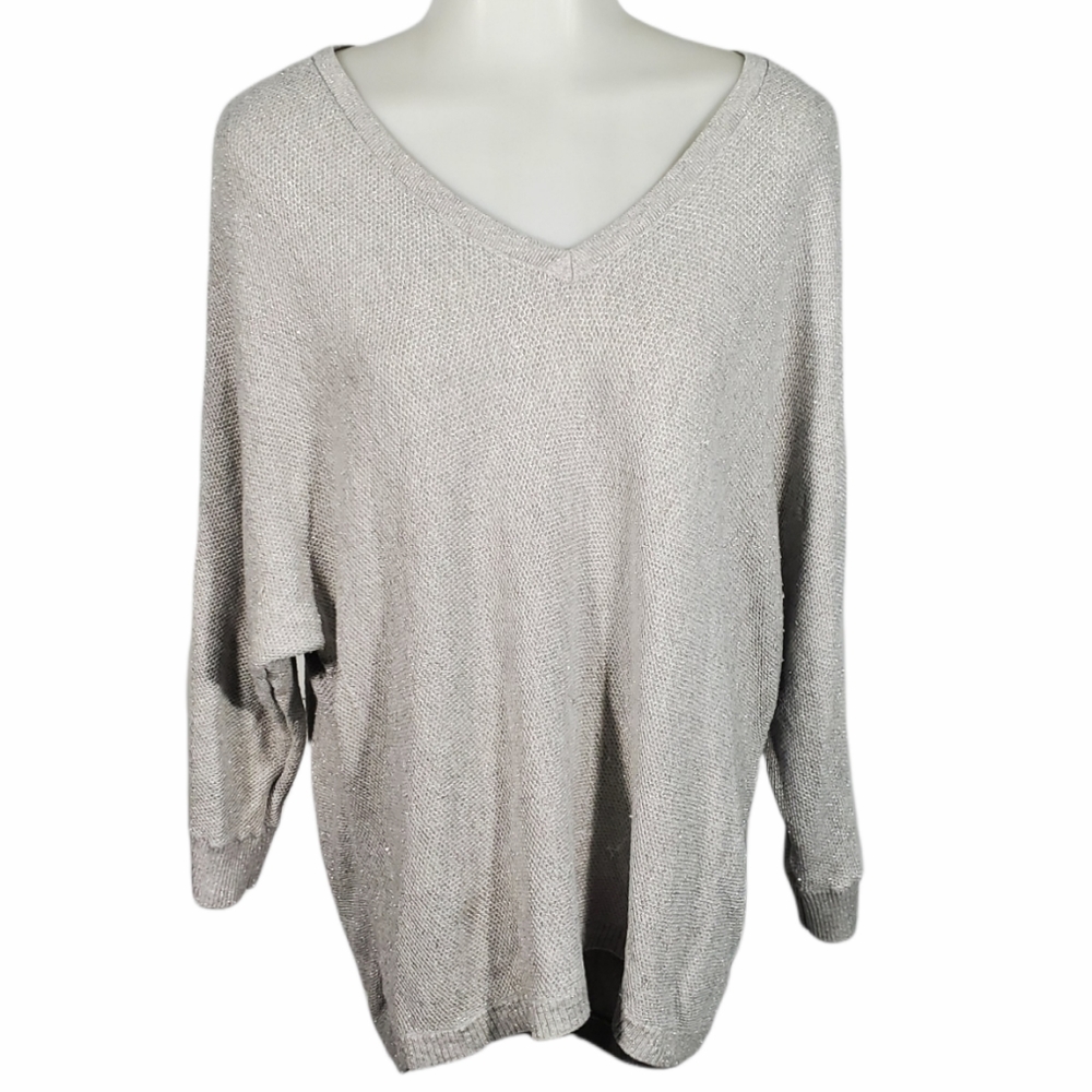 EXPRESS Oversized Sweater Sparkly Zippered Back